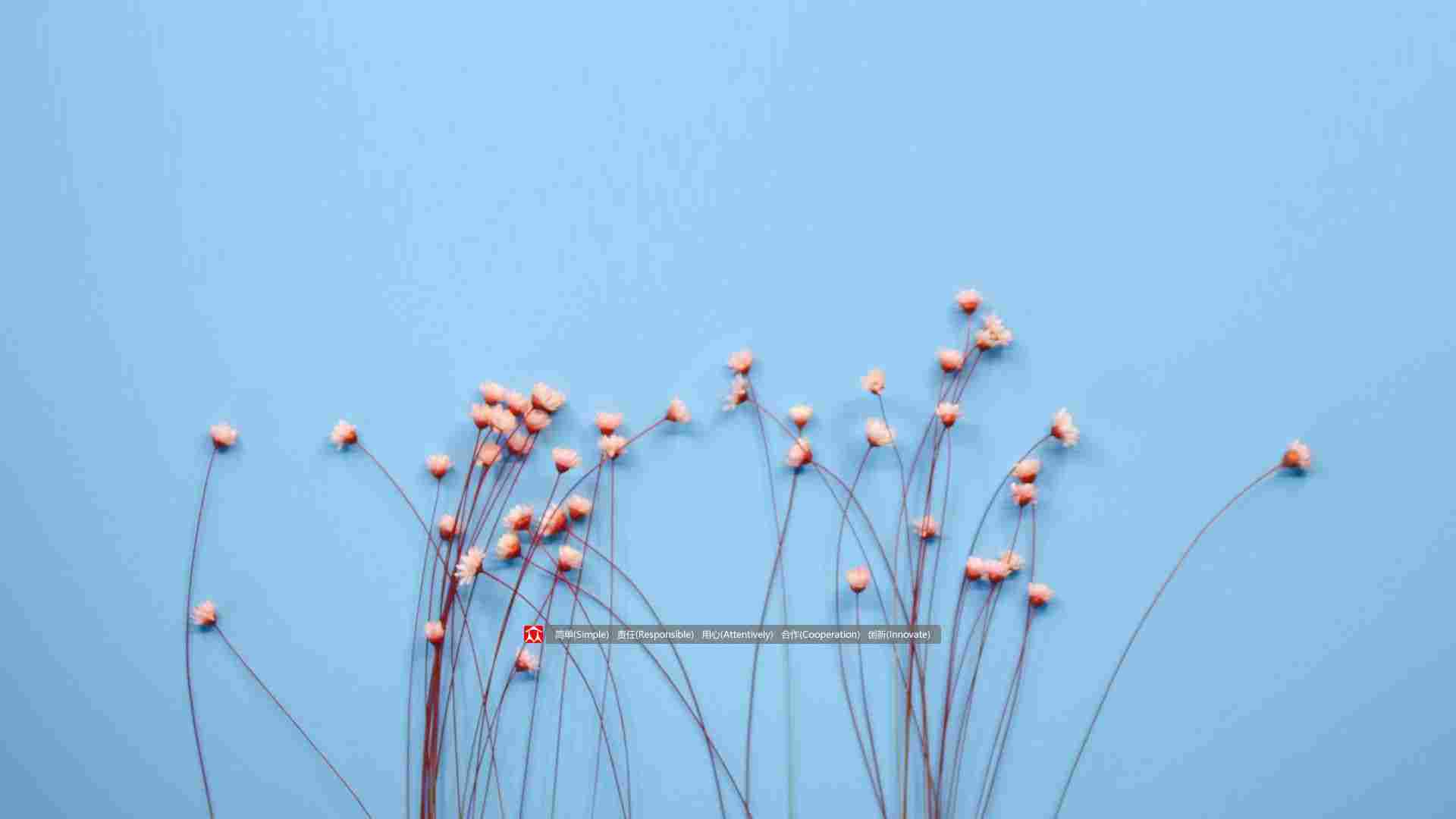 高新技术企业典范