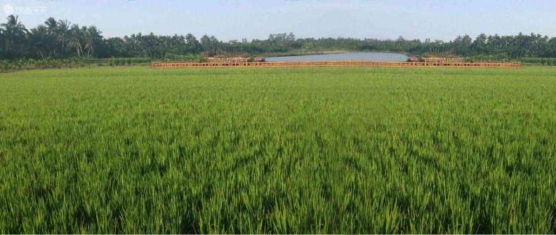 青岛三众软件定制