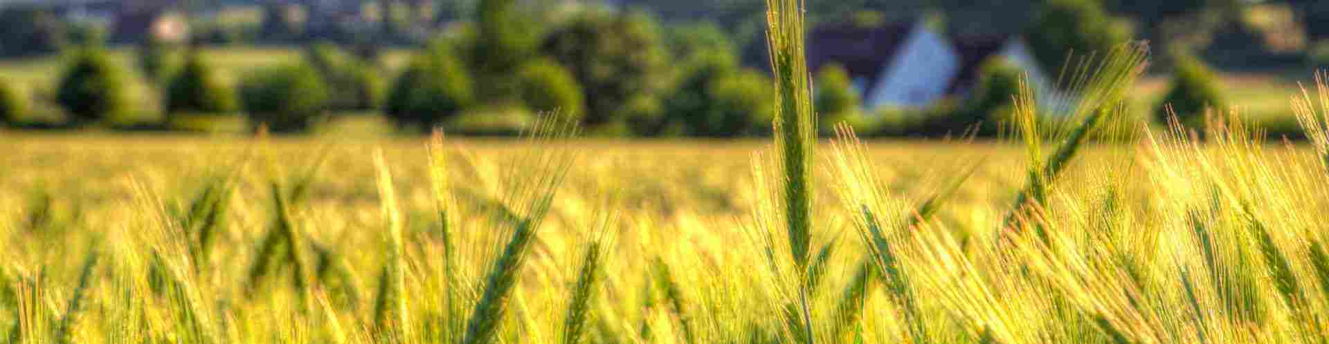 业务管理系统定制专家