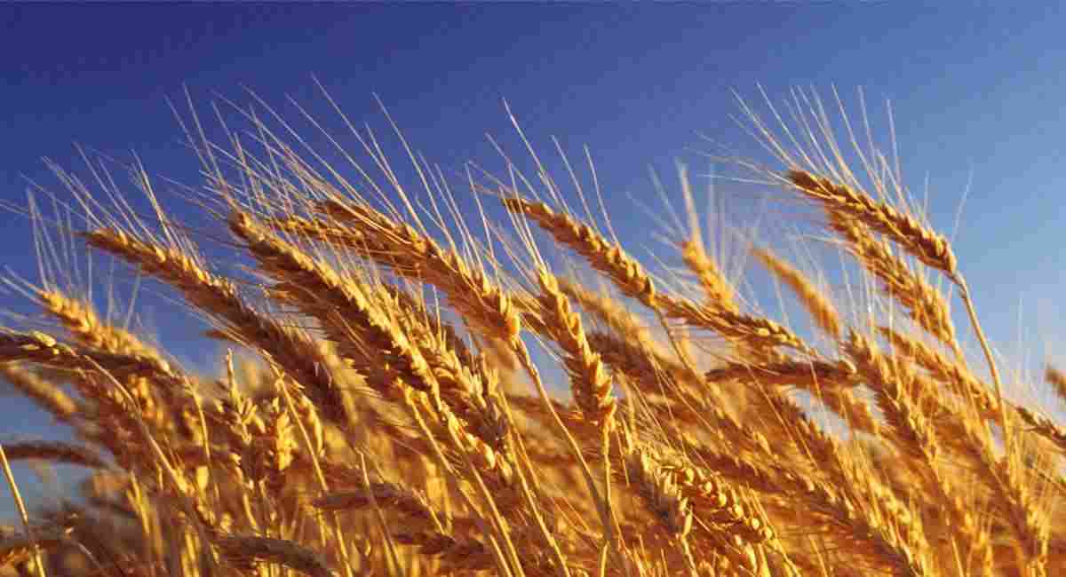 高新技术企业典范