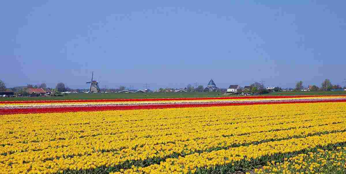 遵义软件企业荣膺江苏高企