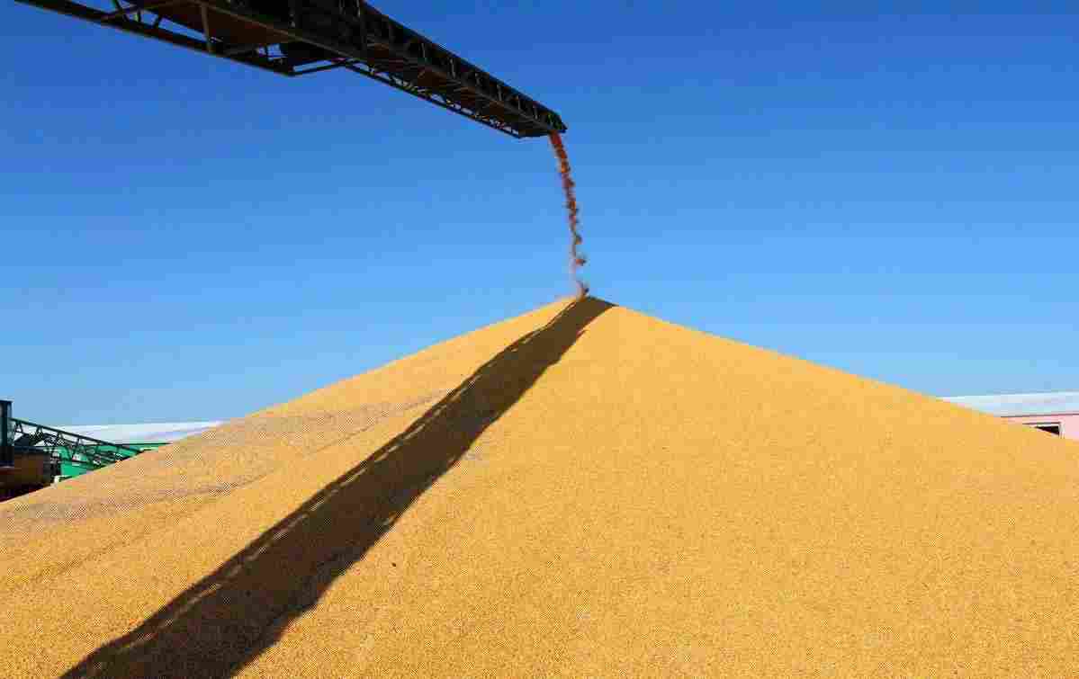 清远软件外包专家