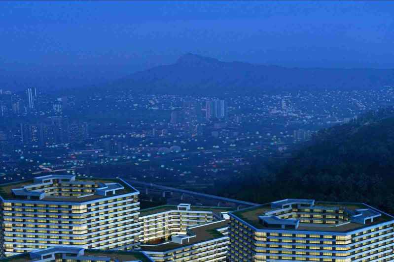 莆田软件定制专家