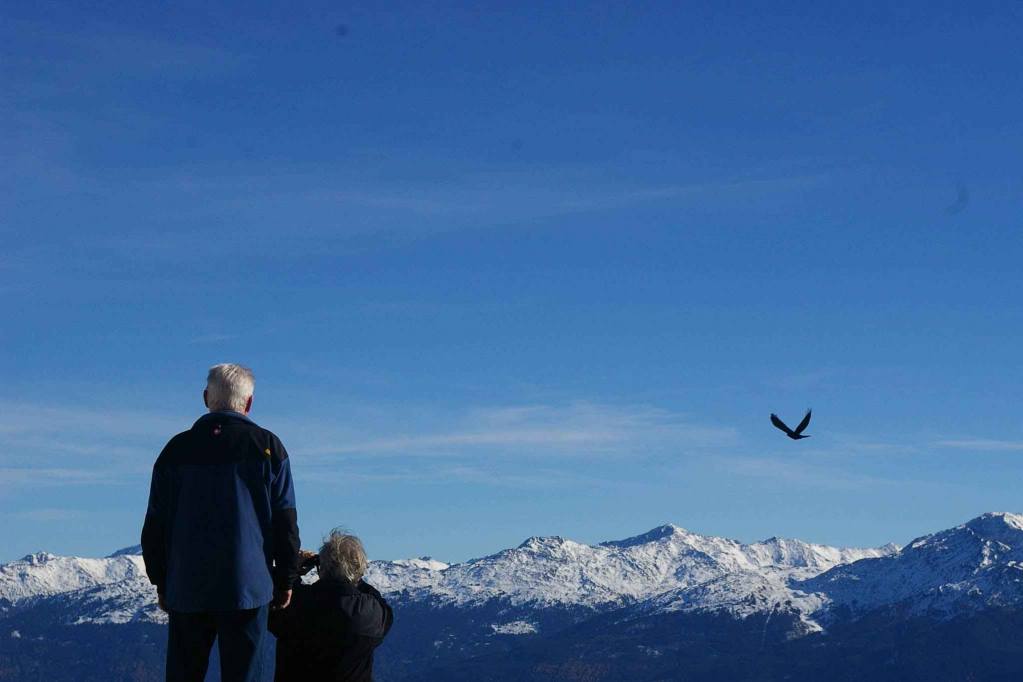 江苏高企领航科技