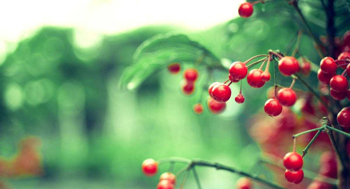 企业定制软件专家