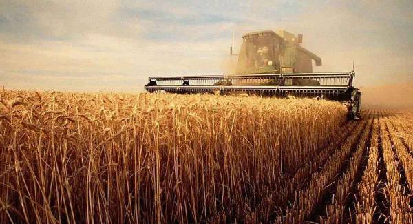 阜新软件外包专家